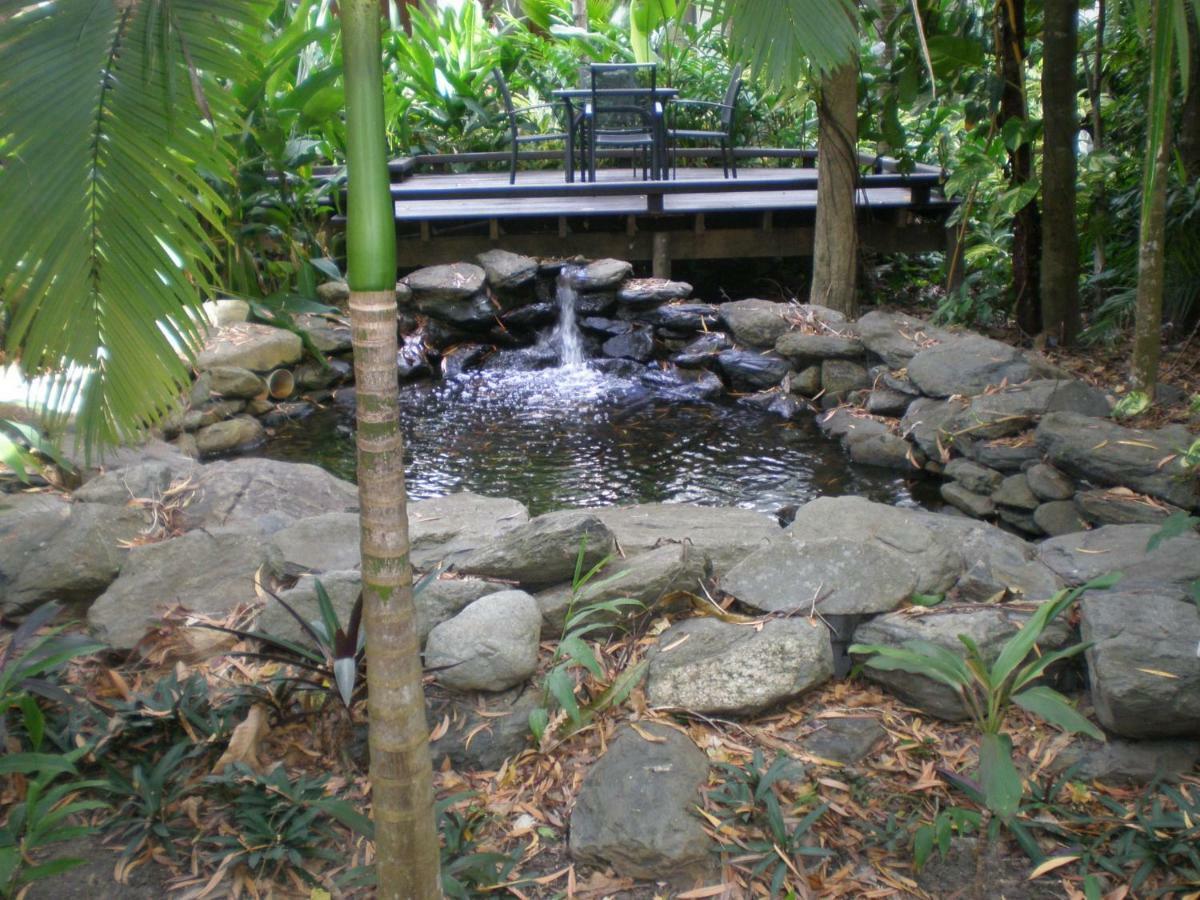 Hidden Gem @ Palm Cove Apartment ภายนอก รูปภาพ